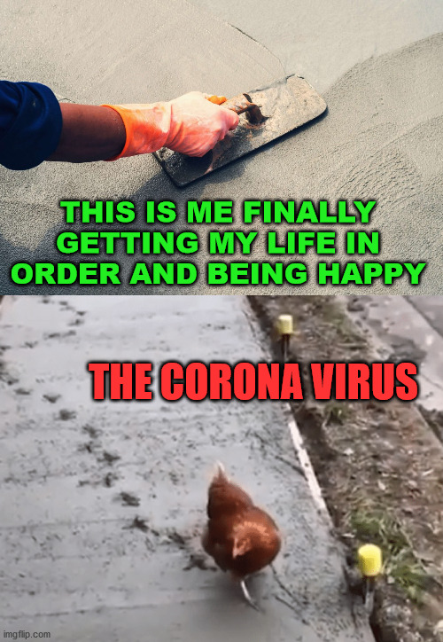 Finally smoothing my life and actually finding happiness and the virus walked all over it. | THIS IS ME FINALLY GETTING MY LIFE IN ORDER AND BEING HAPPY; THE CORONA VIRUS | image tagged in smooth,concrete,corona virus | made w/ Imgflip meme maker