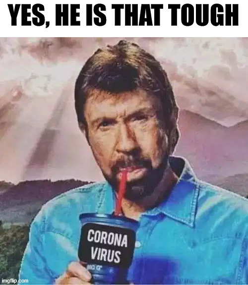Just unleash chuck and it would go away. | YES, HE IS THAT TOUGH | image tagged in chuck norris,how tough am i | made w/ Imgflip meme maker