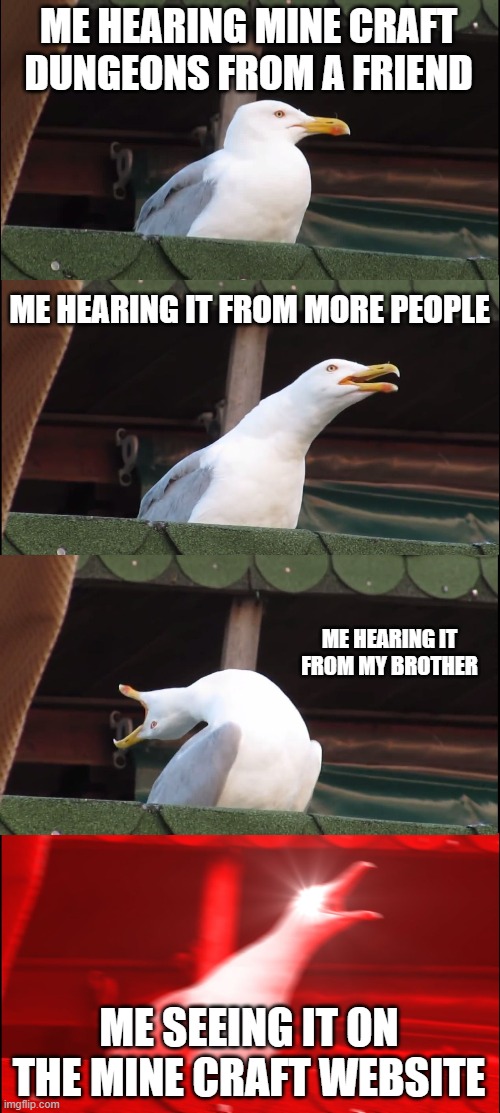 Inhaling Seagull | ME HEARING MINE CRAFT DUNGEONS FROM A FRIEND; ME HEARING IT FROM MORE PEOPLE; ME HEARING IT FROM MY BROTHER; ME SEEING IT ON THE MINE CRAFT WEBSITE | image tagged in memes,inhaling seagull | made w/ Imgflip meme maker