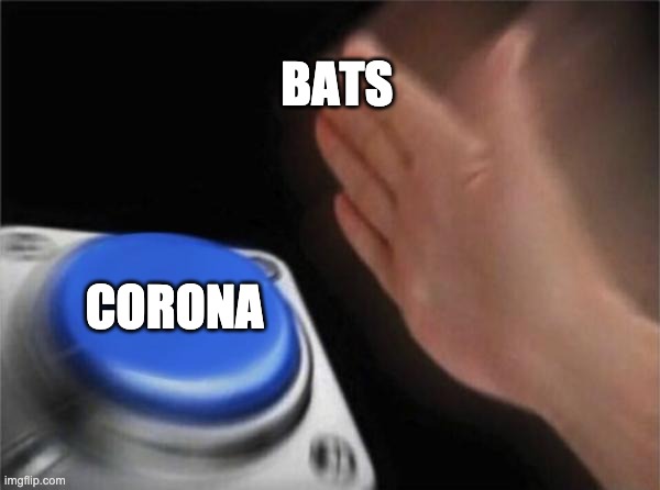 Blank Nut Button Meme | BATS; CORONA | image tagged in memes,blank nut button | made w/ Imgflip meme maker