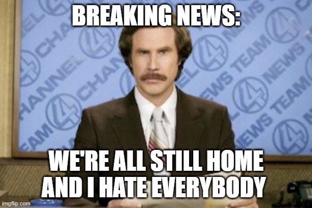 Ron Burgundy | BREAKING NEWS:; WE'RE ALL STILL HOME AND I HATE EVERYBODY | image tagged in memes,ron burgundy | made w/ Imgflip meme maker