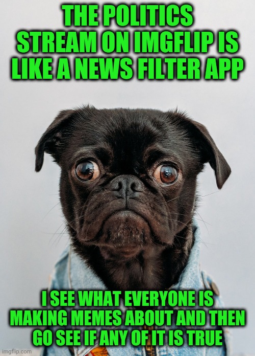 I get my "news" from Imgflip | THE POLITICS STREAM ON IMGFLIP IS LIKE A NEWS FILTER APP; I SEE WHAT EVERYONE IS MAKING MEMES ABOUT AND THEN GO SEE IF ANY OF IT IS TRUE | image tagged in newsdog | made w/ Imgflip meme maker