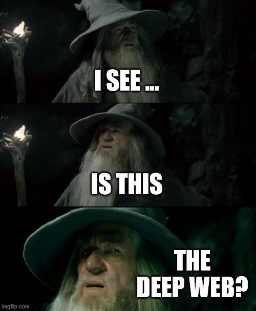 Confused Gandalf Meme | I SEE ... IS THIS THE DEEP WEB? | image tagged in memes,confused gandalf | made w/ Imgflip meme maker