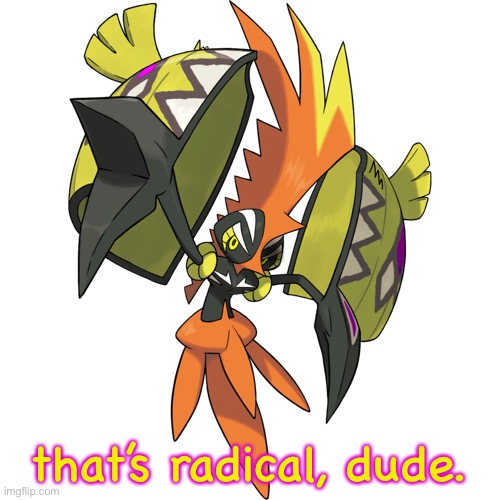 that’s radical, dude. | image tagged in brave the tapu koko | made w/ Imgflip meme maker
