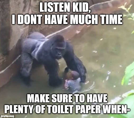 Harambe | LISTEN KID,   I DONT HAVE MUCH TIME; MAKE SURE TO HAVE PLENTY OF TOILET PAPER WHEN- | image tagged in harambe | made w/ Imgflip meme maker