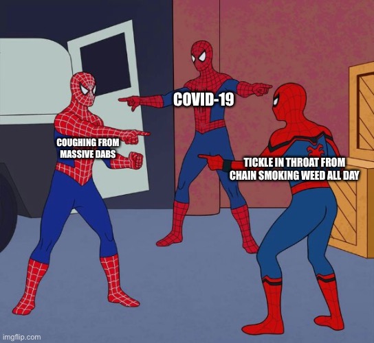 3 Spidermen Pointing at each other | COVID-19; COUGHING FROM
 MASSIVE DABS; TICKLE IN THROAT FROM CHAIN SMOKING WEED ALL DAY | image tagged in 3 spidermen pointing at each other | made w/ Imgflip meme maker