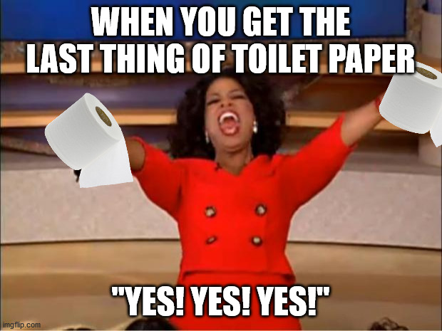 Oprah You Get A Meme | WHEN YOU GET THE LAST THING OF TOILET PAPER; "YES! YES! YES!" | image tagged in memes,oprah you get a | made w/ Imgflip meme maker