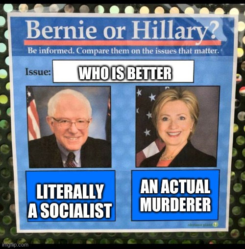 Bernie or Hillary? | WHO IS BETTER; LITERALLY A SOCIALIST; AN ACTUAL MURDERER | image tagged in bernie or hillary | made w/ Imgflip meme maker