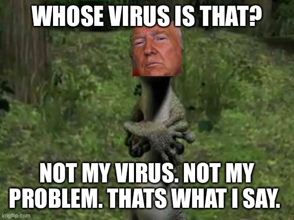 not my chair | WHOSE VIRUS IS THAT? NOT MY VIRUS. NOT MY PROBLEM. THATS WHAT I SAY. | image tagged in not my chair | made w/ Imgflip meme maker