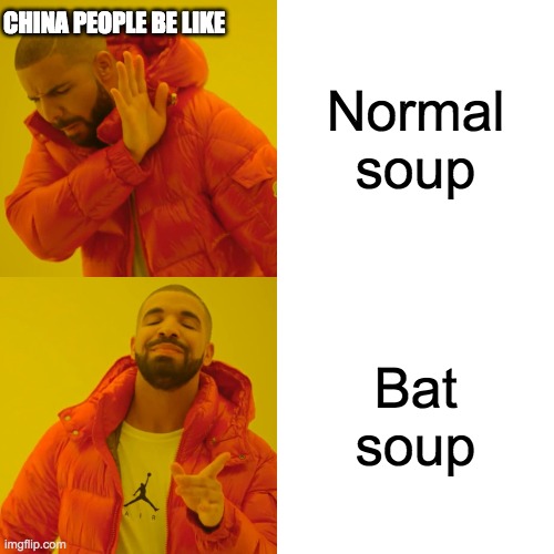 china be like | CHINA PEOPLE BE LIKE; Normal soup; Bat soup | image tagged in memes,drake hotline bling | made w/ Imgflip meme maker