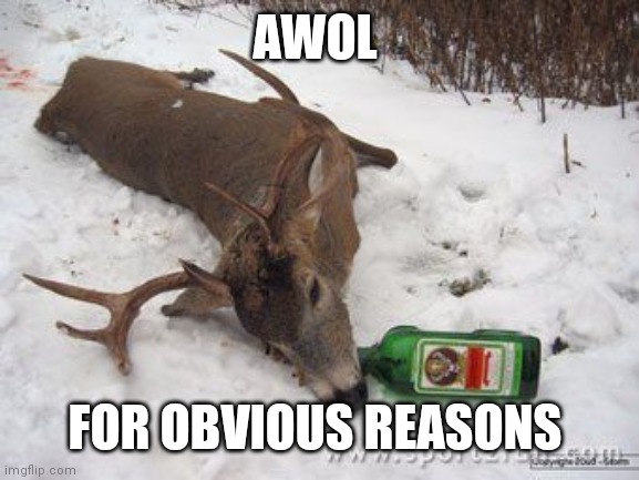 Drunk deer | AWOL FOR OBVIOUS REASONS | image tagged in drunk deer | made w/ Imgflip meme maker