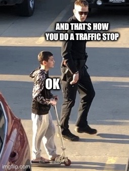 Cop advice | AND THAT’S HOW YOU DO A TRAFFIC STOP; OK | image tagged in cop advice | made w/ Imgflip meme maker