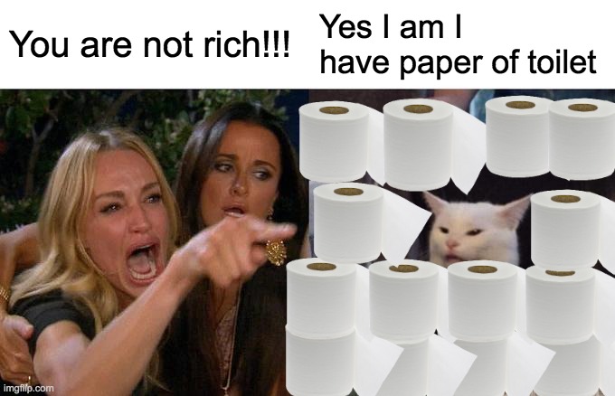paper of toilet | You are not rich!!! Yes I am I have paper of toilet | image tagged in memes,woman yelling at cat | made w/ Imgflip meme maker