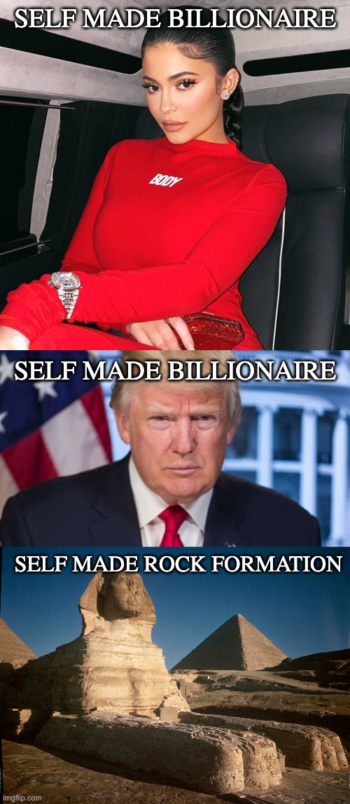 SELF MADE BILLIONAIRE; SELF MADE BILLIONAIRE; SELF MADE ROCK FORMATION | image tagged in donald trump,scammers,liars | made w/ Imgflip meme maker