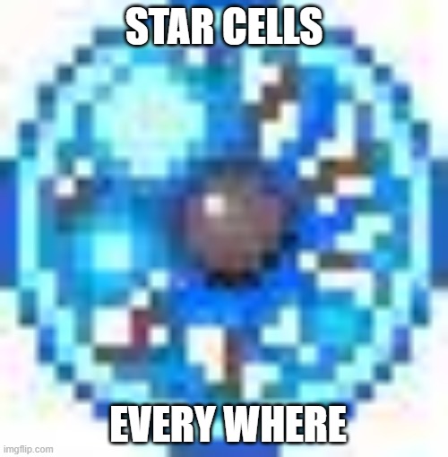 star cells | STAR CELLS; EVERY WHERE | image tagged in terraria | made w/ Imgflip meme maker