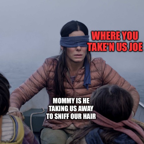 Bird Box Meme | WHERE YOU TAKE'N US JOE; MOMMY IS HE TAKING US AWAY TO SNIFF OUR HAIR | image tagged in memes,bird box | made w/ Imgflip meme maker