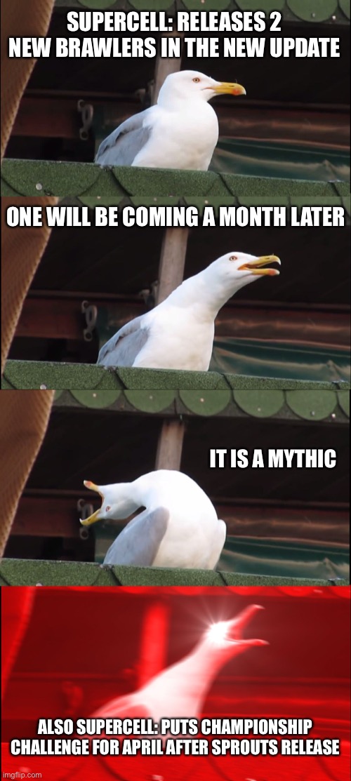 Inhaling Seagull | SUPERCELL: RELEASES 2 NEW BRAWLERS IN THE NEW UPDATE; ONE WILL BE COMING A MONTH LATER; IT IS A MYTHIC; ALSO SUPERCELL: PUTS CHAMPIONSHIP CHALLENGE FOR APRIL AFTER SPROUTS RELEASE | image tagged in memes,inhaling seagull | made w/ Imgflip meme maker