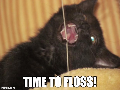 Flossing | TIME TO FLOSS! | image tagged in kitten fun | made w/ Imgflip meme maker