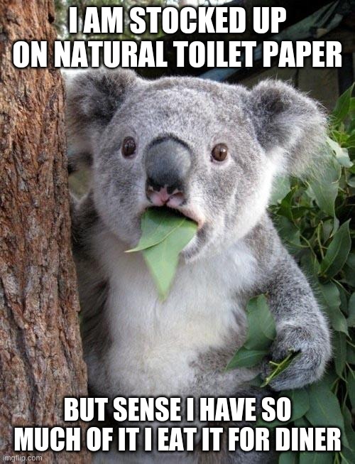 Suprised Koala | I AM STOCKED UP ON NATURAL TOILET PAPER; BUT SENSE I HAVE SO MUCH OF IT I EAT IT FOR DINER | image tagged in suprised koala | made w/ Imgflip meme maker