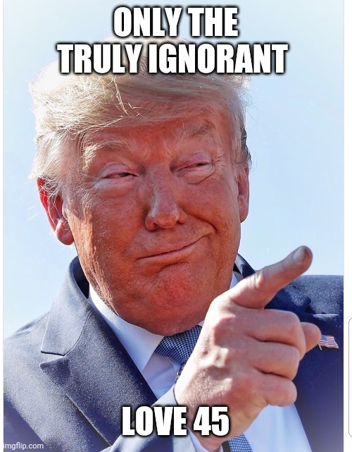 Trump pointing | ONLY THE TRULY IGNORANT; LOVE 45 | image tagged in trump pointing | made w/ Imgflip meme maker
