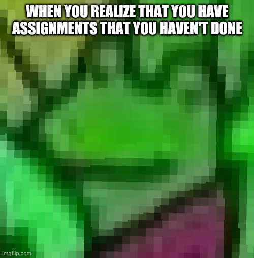 WHEN YOU REALIZE THAT YOU HAVE ASSIGNMENTS THAT YOU HAVEN'T DONE | image tagged in frog,oops | made w/ Imgflip meme maker