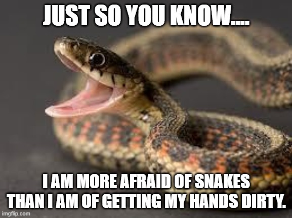 COVID-19 | JUST SO YOU KNOW.... I AM MORE AFRAID OF SNAKES THAN I AM OF GETTING MY HANDS DIRTY. | image tagged in warning snake,washing hands,snakes,covid-19 | made w/ Imgflip meme maker