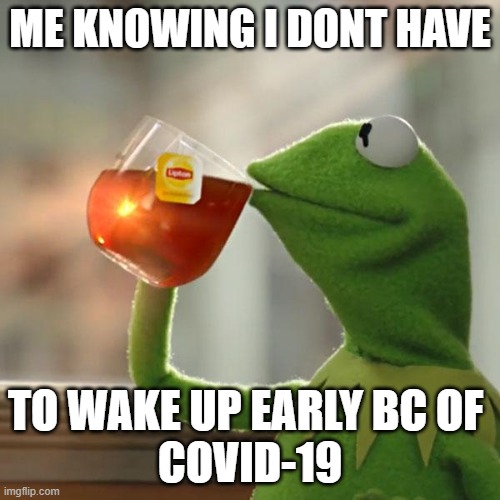 But That's None Of My Business Meme | ME KNOWING I DONT HAVE; TO WAKE UP EARLY BC OF 
COVID-19 | image tagged in memes,but that's none of my business,kermit the frog | made w/ Imgflip meme maker