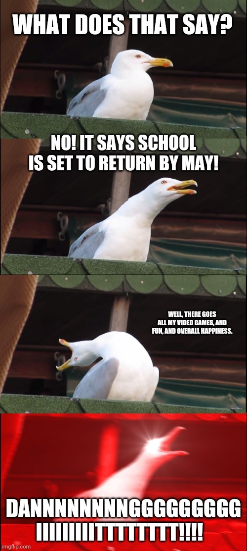 Inhaling Seagull Meme | WHAT DOES THAT SAY? NO! IT SAYS SCHOOL IS SET TO RETURN BY MAY! WELL, THERE GOES ALL MY VIDEO GAMES, AND FUN, AND OVERALL HAPPINESS. DANNNNNNNNGGGGGGGGG IIIIIIIIITTTTTTTT!!!! | image tagged in memes,inhaling seagull | made w/ Imgflip meme maker