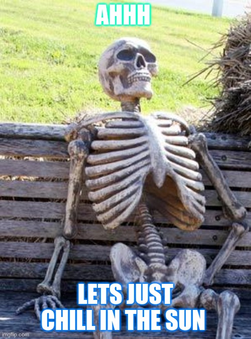 Waiting Skeleton | AHHH; LETS JUST CHILL IN THE SUN | image tagged in memes,waiting skeleton,snoring | made w/ Imgflip meme maker