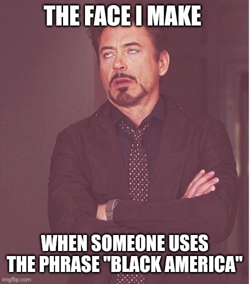 We're all Americans. Let's ditch this childish multiculturalism. | THE FACE I MAKE; WHEN SOMEONE USES THE PHRASE "BLACK AMERICA" | image tagged in face i make | made w/ Imgflip meme maker