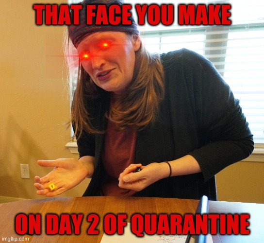 exaggerated mom | THAT FACE YOU MAKE; ON DAY 2 OF QUARANTINE | image tagged in exaggerated mom | made w/ Imgflip meme maker