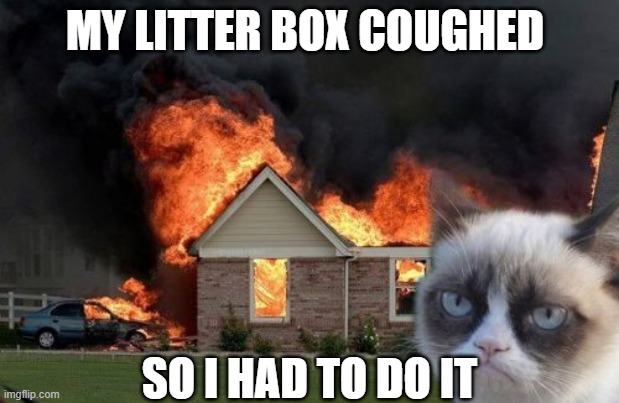 Version 2 of "I HAD TO DO IT" | MY LITTER BOX COUGHED; SO I HAD TO DO IT | image tagged in memes,burn kitty,grumpy cat,disaster girl | made w/ Imgflip meme maker