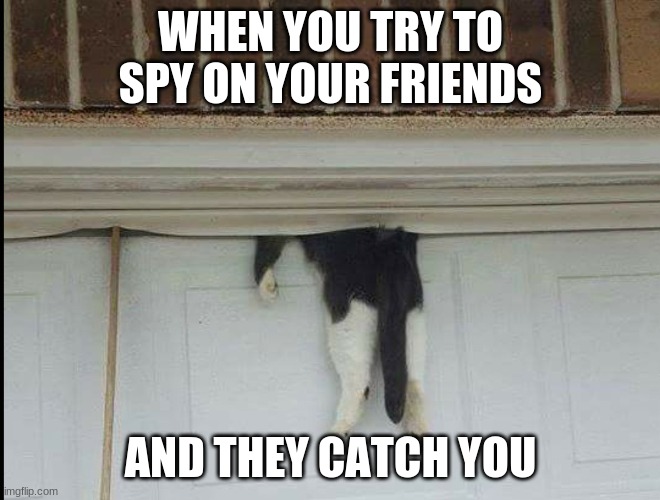Bella the cat stuck in a garage door | WHEN YOU TRY TO SPY ON YOUR FRIENDS; AND THEY CATCH YOU | image tagged in bella the cat stuck in a garage door | made w/ Imgflip meme maker