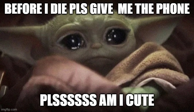 Crying Baby Yoda | BEFORE I DIE PLS GIVE  ME THE PHONE; PLSSSSSS AM I CUTE | image tagged in crying baby yoda | made w/ Imgflip meme maker