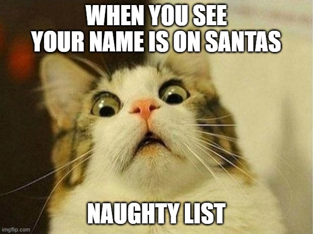 Scared Cat Meme | WHEN YOU SEE YOUR NAME IS ON SANTAS; NAUGHTY LIST | image tagged in memes,scared cat | made w/ Imgflip meme maker