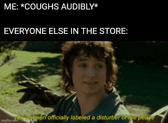 Disturber of the peace LOTR | ME: *COUGHS AUDIBLY*; EVERYONE ELSE IN THE STORE: | image tagged in disturber of the peace lotr | made w/ Imgflip meme maker