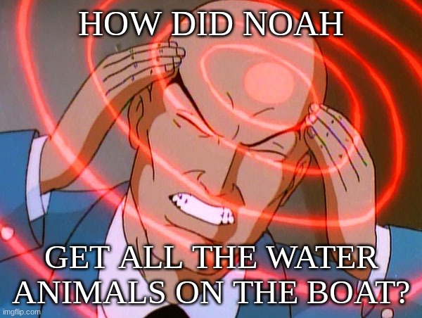 Professor X | HOW DID NOAH; GET ALL THE WATER ANIMALS ON THE BOAT? | image tagged in professor x | made w/ Imgflip meme maker