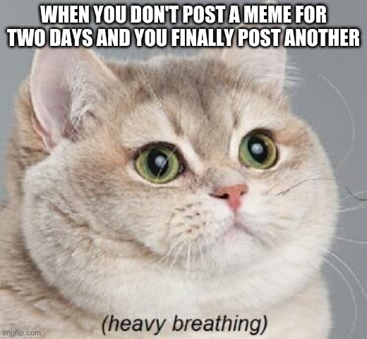 Heavy Breathing Cat Meme | WHEN YOU DON'T POST A MEME FOR TWO DAYS AND YOU FINALLY POST ANOTHER | image tagged in memes,heavy breathing cat | made w/ Imgflip meme maker