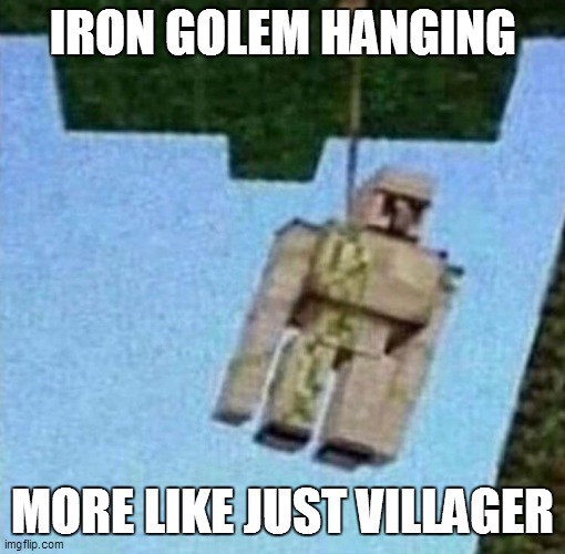 iron golem hanging | IRON GOLEM HANGING; MORE LIKE JUST VILLAGER | image tagged in iron golem hanging | made w/ Imgflip meme maker