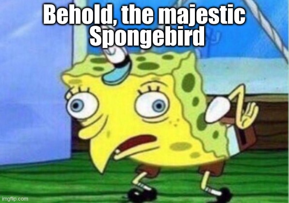 Mocking Spongebob | Behold, the majestic; Spongebird | image tagged in memes,mocking spongebob | made w/ Imgflip meme maker