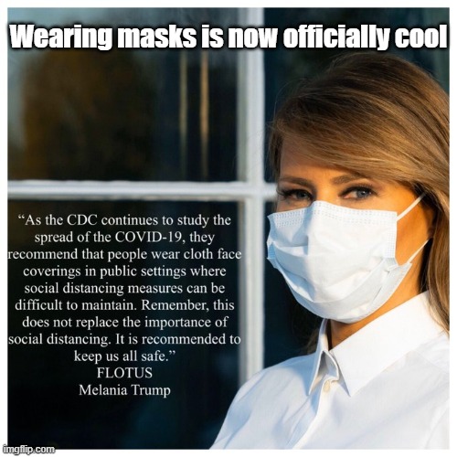 God Save the FLOTUS! | Wearing masks is now officially cool | image tagged in melania trump,face masks,coronavirus | made w/ Imgflip meme maker