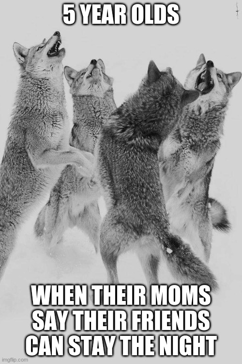 wolves | 5 YEAR OLDS; WHEN THEIR MOMS SAY THEIR FRIENDS CAN STAY THE NIGHT | image tagged in wolves | made w/ Imgflip meme maker