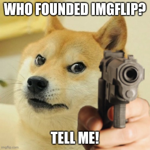 WHO FOUNDED IMGFLIP | WHO FOUNDED IMGFLIP? TELL ME! | image tagged in doge holding a gun,memes,imgflip | made w/ Imgflip meme maker