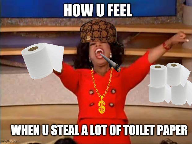 Oprah You Get A | HOW U FEEL; WHEN U STEAL A LOT OF TOILET PAPER | image tagged in memes,oprah you get a | made w/ Imgflip meme maker