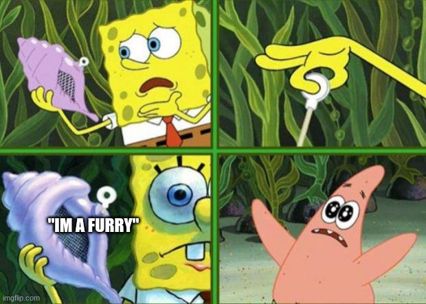 Magic Conch | "IM A FURRY" | image tagged in magic conch | made w/ Imgflip meme maker