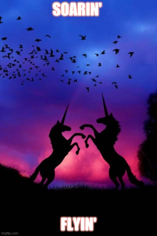 unicorn sunset |  SOARIN'; FLYIN' | image tagged in unicorn sunset | made w/ Imgflip meme maker