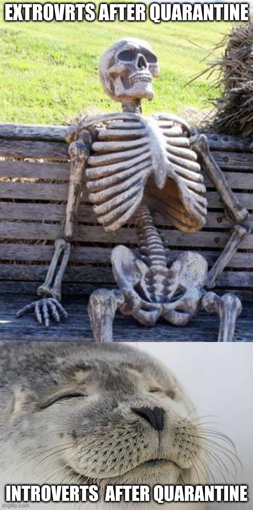 EXTROVRTS AFTER QUARANTINE; INTROVERTS  AFTER QUARANTINE | image tagged in memes,waiting skeleton,satisfied seal | made w/ Imgflip meme maker