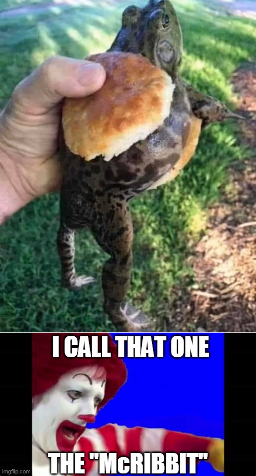 MCDS IS HOPPING | I CALL THAT ONE; THE "McRIBBIT" | image tagged in memes,mcdonalds,ronald mcdonald,frog,wtf | made w/ Imgflip meme maker