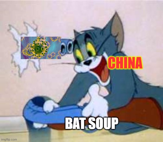 tom the cat shooting himself  | CHINA; BAT SOUP | image tagged in tom the cat shooting himself | made w/ Imgflip meme maker