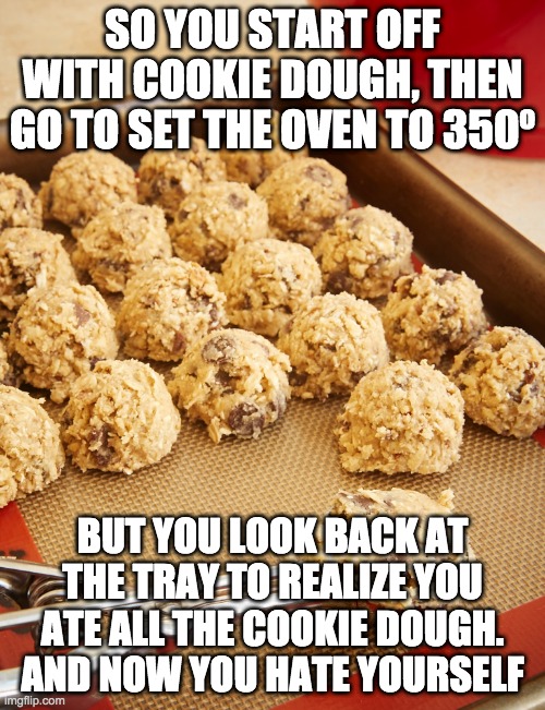 Cookie Dough | SO YOU START OFF WITH COOKIE DOUGH, THEN GO TO SET THE OVEN TO 350º; BUT YOU LOOK BACK AT THE TRAY TO REALIZE YOU ATE ALL THE COOKIE DOUGH. AND NOW YOU HATE YOURSELF | image tagged in cookie dough,fail,food,fat cat,oh wow are you actually reading these tags | made w/ Imgflip meme maker